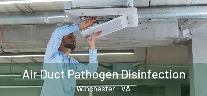 Air Duct Pathogen Disinfection Winchester - VA