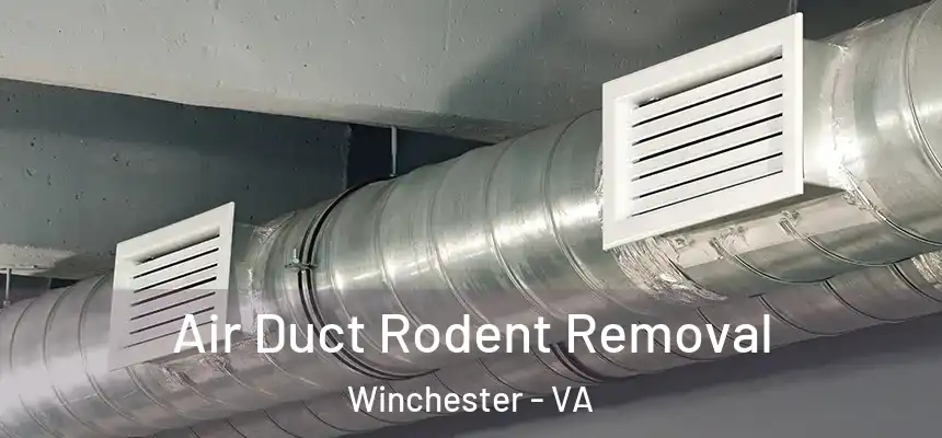  Air Duct Rodent Removal Winchester - VA