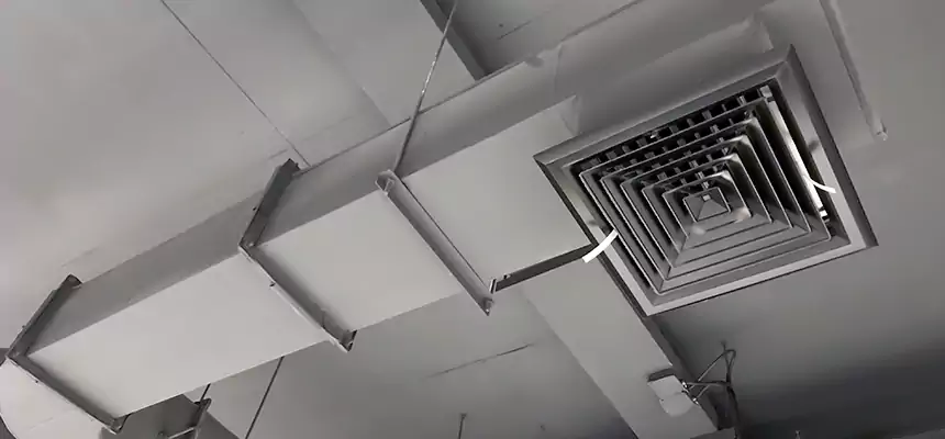 Our Pest Removal From Ducts Services in Winchester, VA