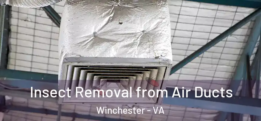 Insect Removal from Air Ducts Winchester - VA