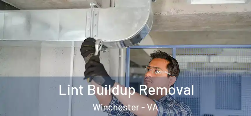  Lint Buildup Removal Winchester - VA