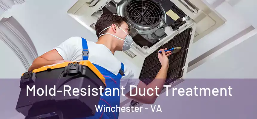 Mold-Resistant Duct Treatment Winchester - VA