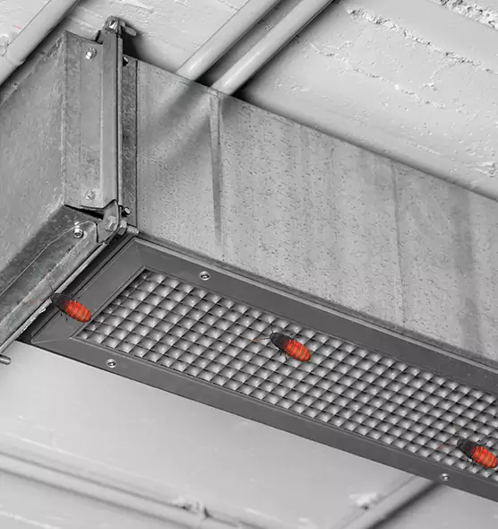 About Air Duct Cockroach Removal in Winchester, VA
