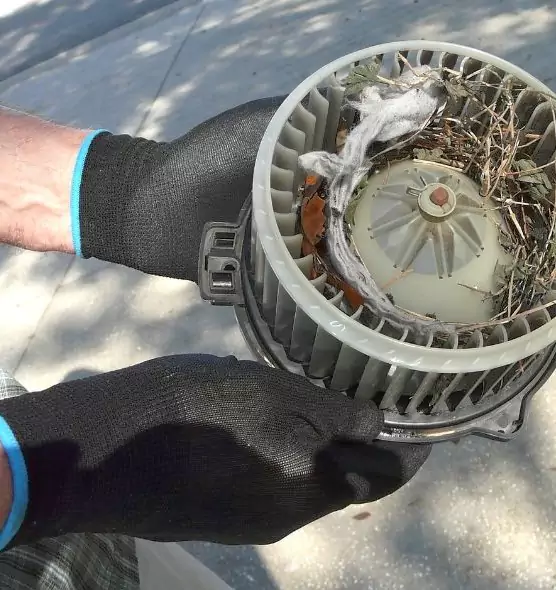 About Air Duct Mice Removal in Winchester, VA