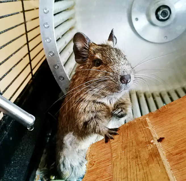 Why Homeowners & Businesses Trust Us Winchester, VA