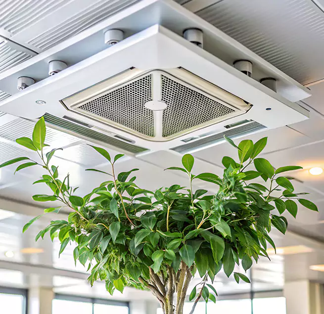 Why Homeowners & Businesses Trust Us in Winchester, VA?