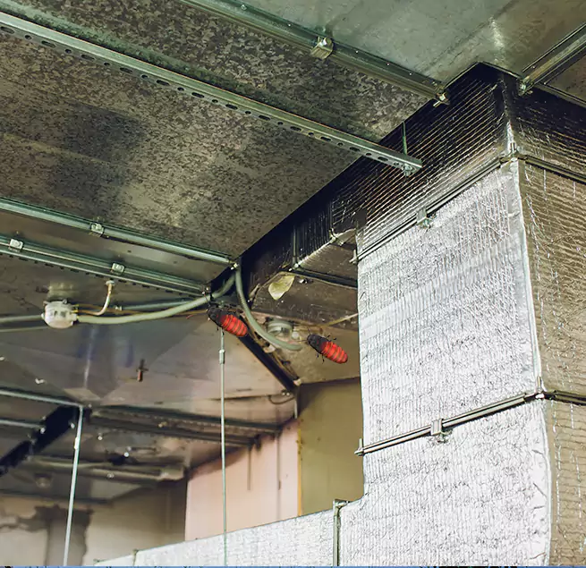 Why Homeowners & Businesses Trust Us Winchester, VA?